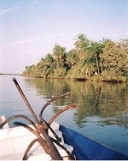 big game fishing 