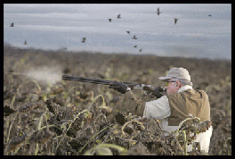 wp6e058aab.gif